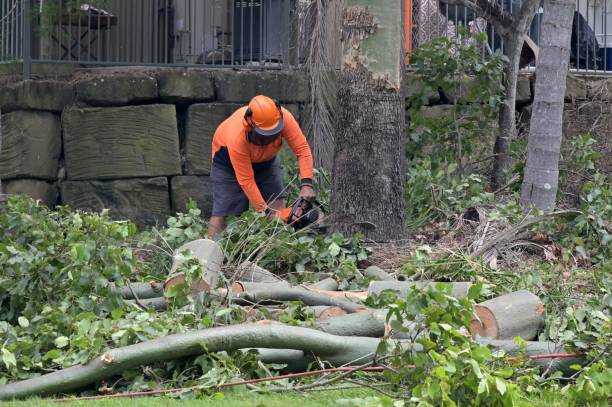 Best Tree Risk Assessment  in Hudson, TX